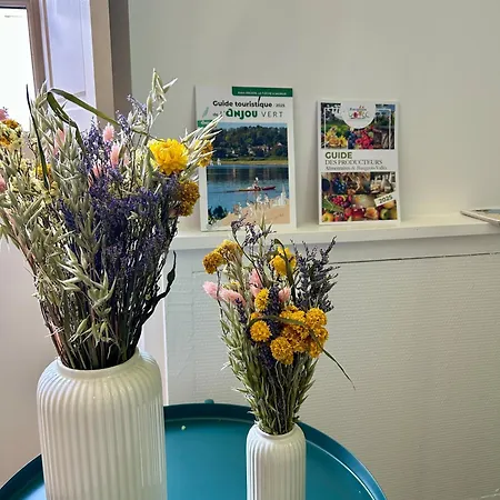 De Plain Pied Renove Et Lumineux, Beaufort-en-anjou, Proche De La Loire Et De Ses Chateaux Apartment *